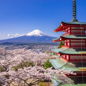 chureito-red-pagoda-with-sakura-in-foreground-and-2021-08-31-15-08-54-utc