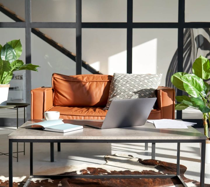 modern-sunny-living-room-interior-design-with-home-2021-09-02-07-14-53-utc